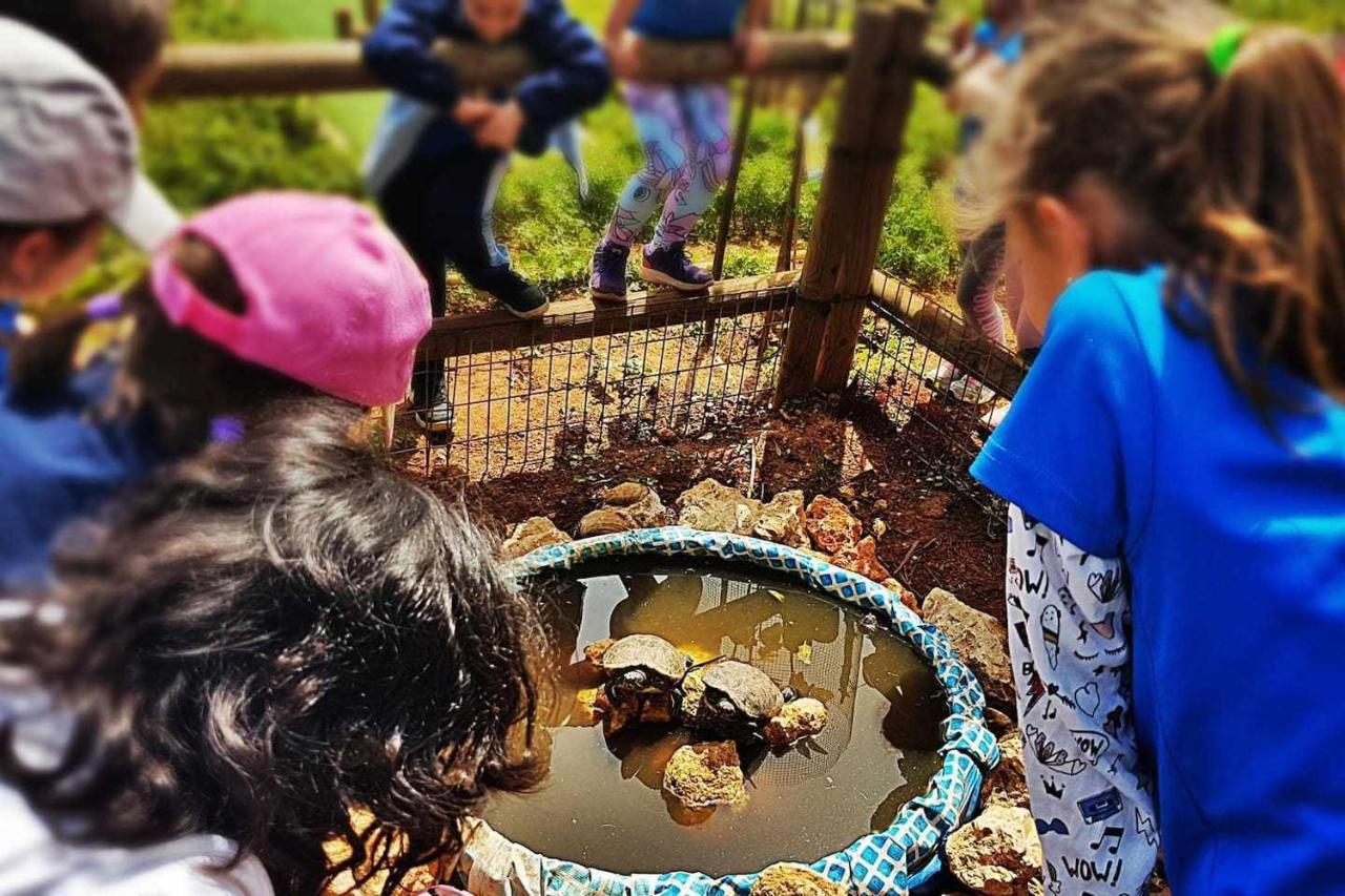 בית הארחה Casa Rural Finca Real De Niebla מראה חיצוני תמונה