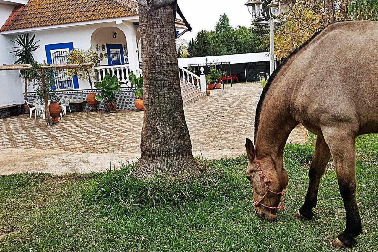 בית הארחה Casa Rural Finca Real De Niebla מראה חיצוני תמונה