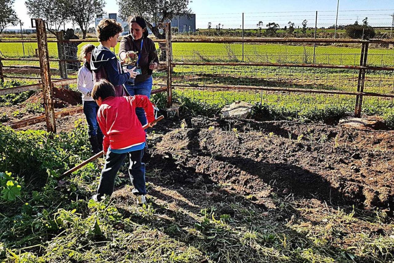 בית הארחה Casa Rural Finca Real De Niebla מראה חיצוני תמונה